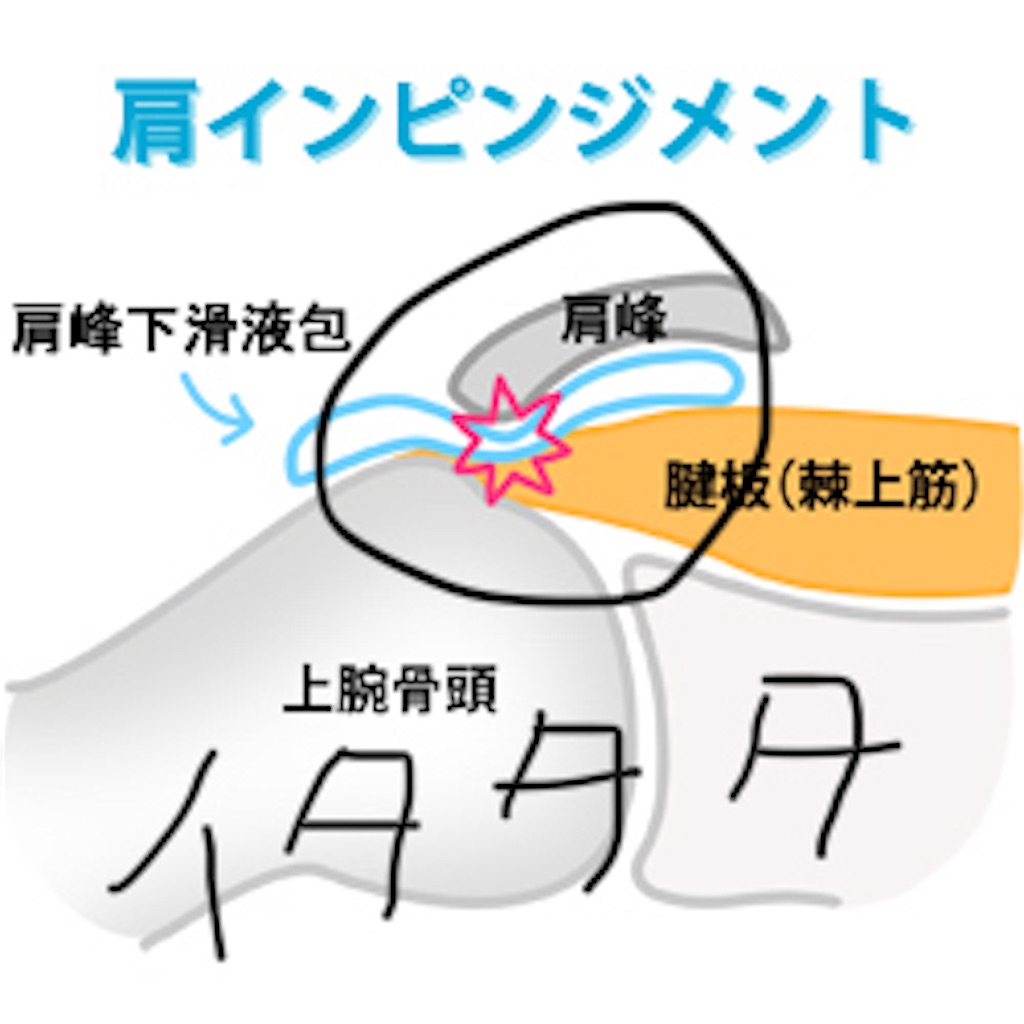 f:id:hoyuforyou:20181012230717j:image f:id:hoyuforyou:20181012230717j:image