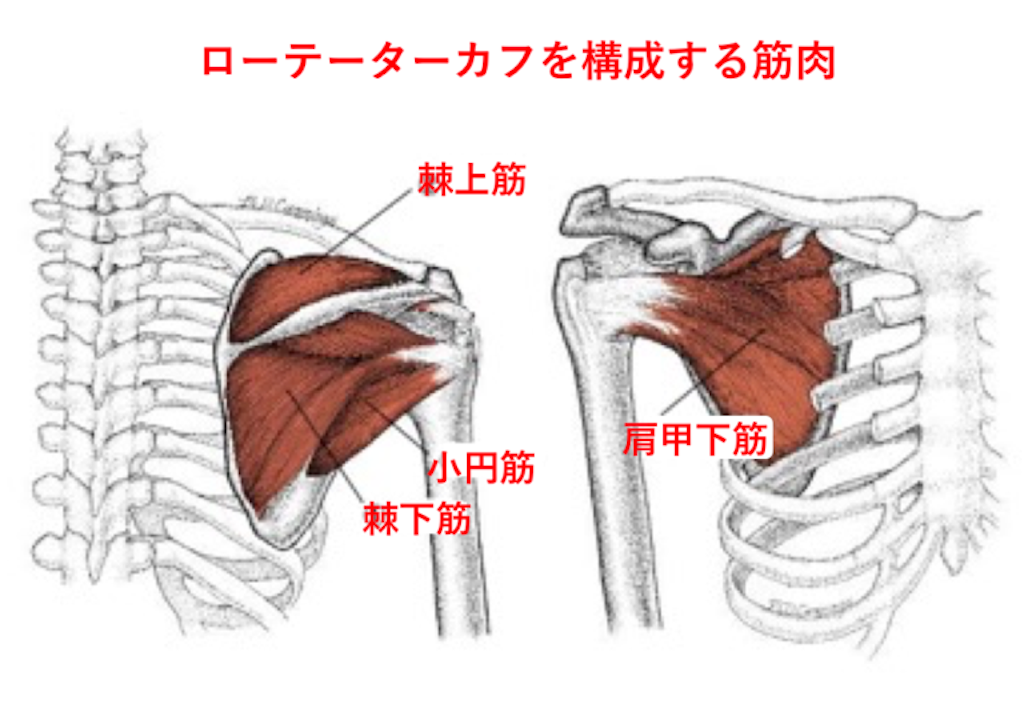f:id:hoyuforyou:20181013095208p:image f:id:hoyuforyou:20181013095208p:image