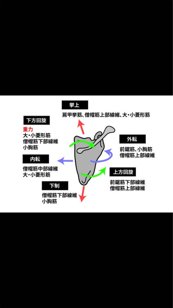 f:id:hoyuforyou:20181013095403p:image f:id:hoyuforyou:20181013095403p:image