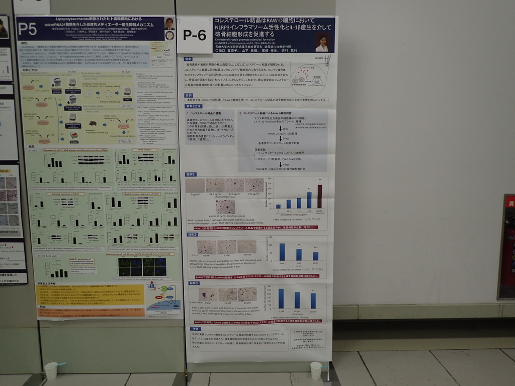 f:id:hozon-nagasaki-jp:20181102132600j:plain