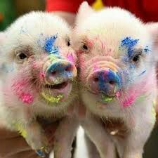 f:id:hozy:20170412004924j:image