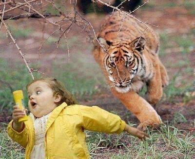 f:id:hozy:20170412005452j:image