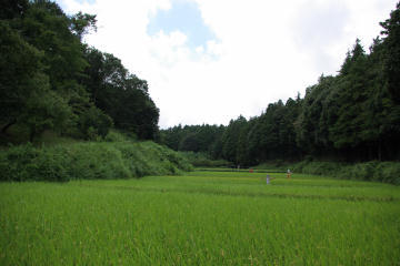 f:id:hp2:20070909211727j:image