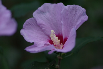 f:id:hp2:20070915174328j:image:w360