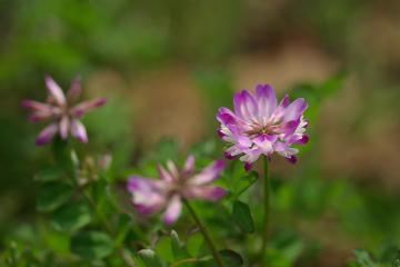 f:id:hp2:20080401005738j:image