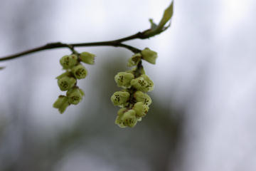 f:id:hp2:20080401012425j:image