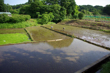 f:id:hp2:20080602005330j:image
