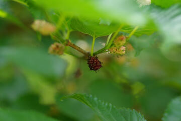 f:id:hp2:20080602005332j:image