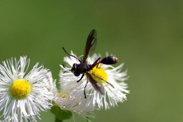 f:id:hp2:20080602005338j:image