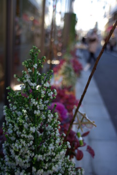 f:id:hp2:20090111142506j:image
