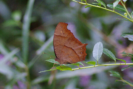 f:id:hp2:20090830012848j:image