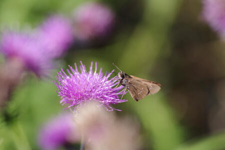 f:id:hp2:20091020022819j:image