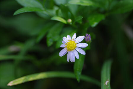 f:id:hp2:20091020023021j:image