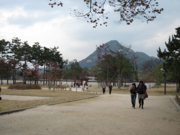 f:id:hp2:20091104164651j:image