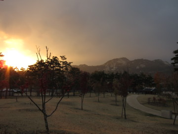 f:id:hp2:20091104165152j:image