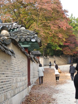 f:id:hp2:20091105145951j:image