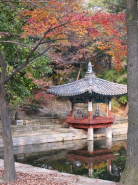 f:id:hp2:20091105152349j:image