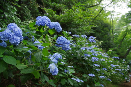f:id:hp2:20100626102859j:image f:id:hp2:20100626102859j:image