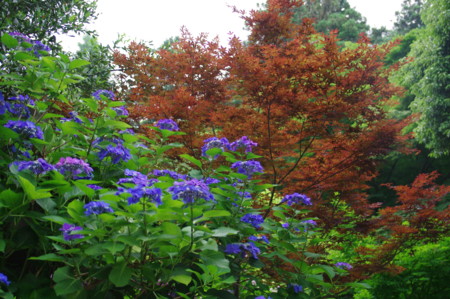 f:id:hp2:20100626105843j:image f:id:hp2:20100626105843j:image