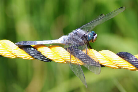 f:id:hp2:20100719010629j:image