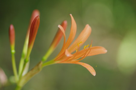 f:id:hp2:20100815092626j:image