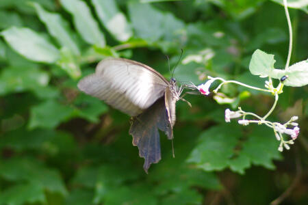 f:id:hp2:20100815215540j:image