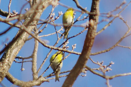f:id:hp2:20110106014253j:image