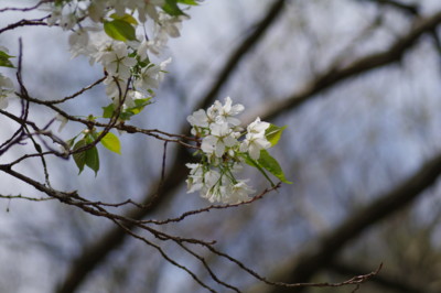 f:id:hp2:20110410093729j:image