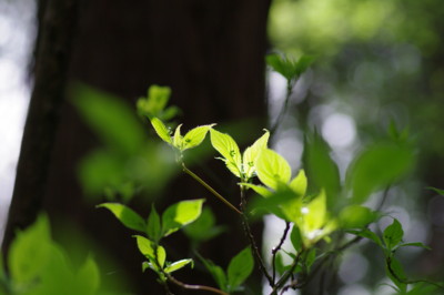 f:id:hp2:20110410100344j:image