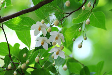 f:id:hp2:20110522022239j:image
