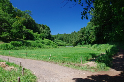 f:id:hp2:20110710092151j:image