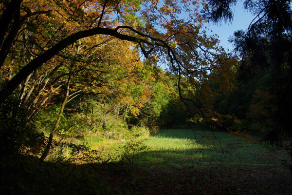 f:id:hp2:20131117205635j:image