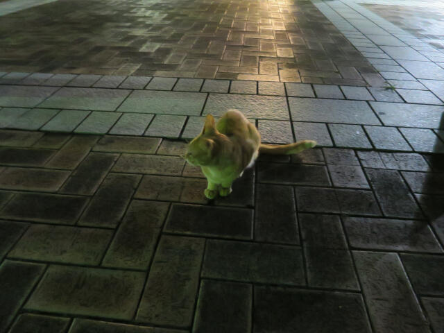 f:id:hp2:20180820201722j:plain