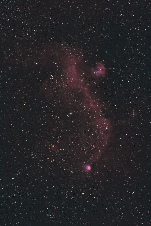 f:id:hp2:20190105175343j:plain かもめ星雲(わし星雲) IC2177