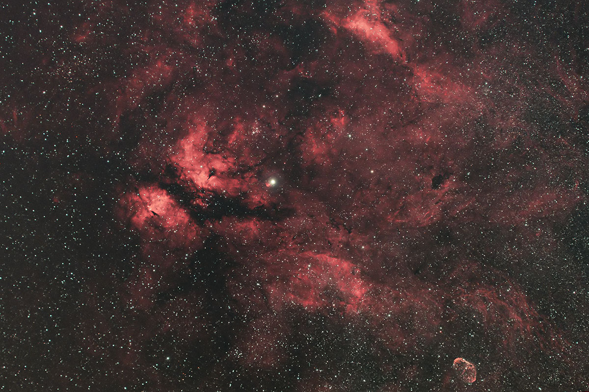 はくちょう座γ星サドル周辺の散光星雲（IC1318） & クレセント星雲（三