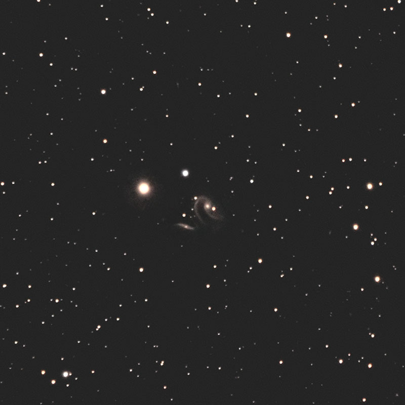 Arp 273