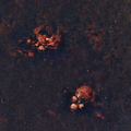 20260521022638