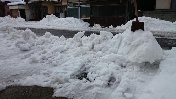 ムカつく ゆたこの気まぐれ日記