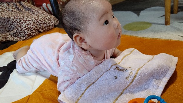 f:id:hpdnk626:20191006172953j:plain