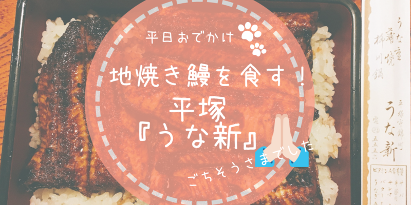 f:id:hpmyli27:20181007124258p:plain