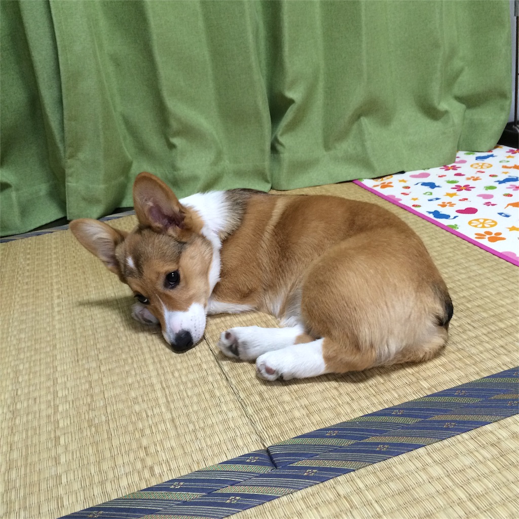 f:id:hqmxn850:20160507090342j:image f:id:hqmxn850:20160507090342j:image