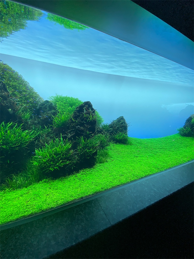 f:id:hraym:20191106201756j:image f:id:hraym:20191106201756j:image