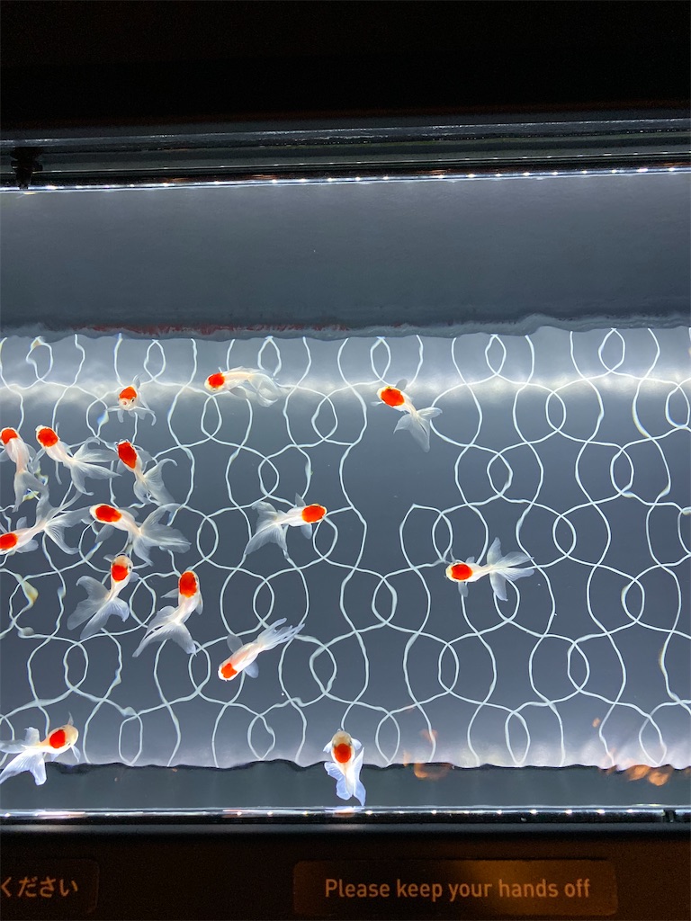 f:id:hraym:20200205201125j:image f:id:hraym:20200205201125j:image