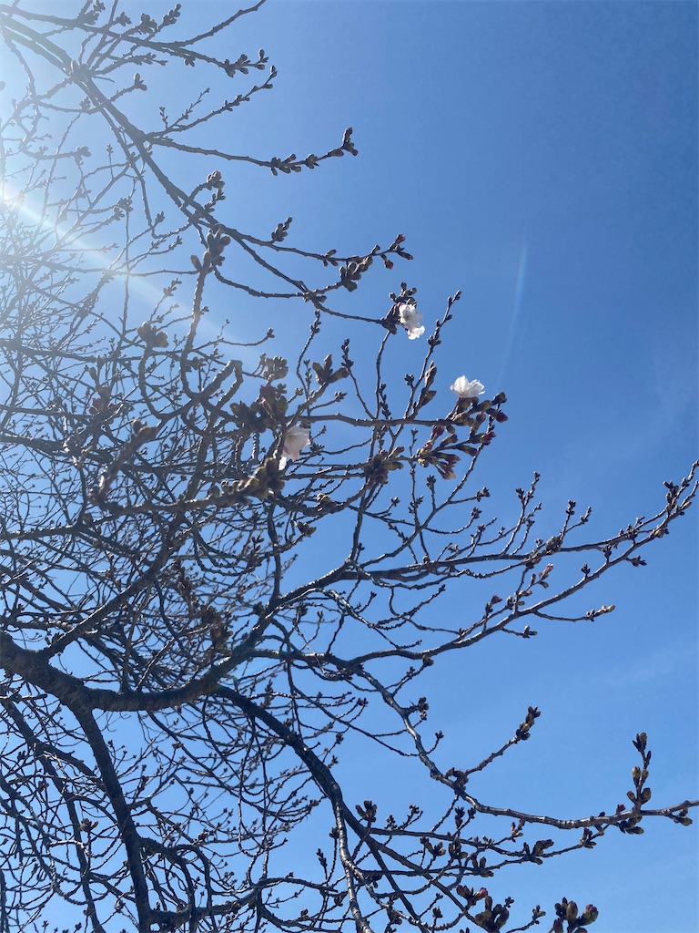 f:id:hraym:20200403065431j:image f:id:hraym:20200403065431j:image