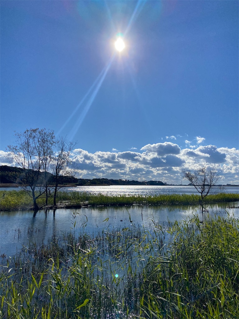 f:id:hraym:20201229035757j:image f:id:hraym:20201229035757j:image