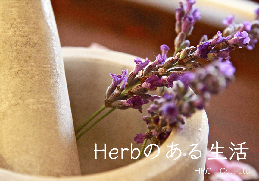 f:id:hrc_herb:20171207235001j:plain