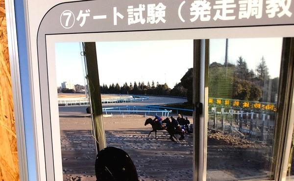 f:id:hrcoo75:20210408224810j:plain