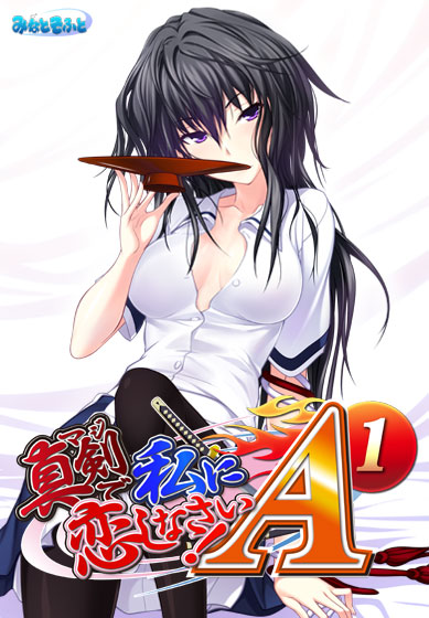 f:id:hrdrk:20130704013528j:image