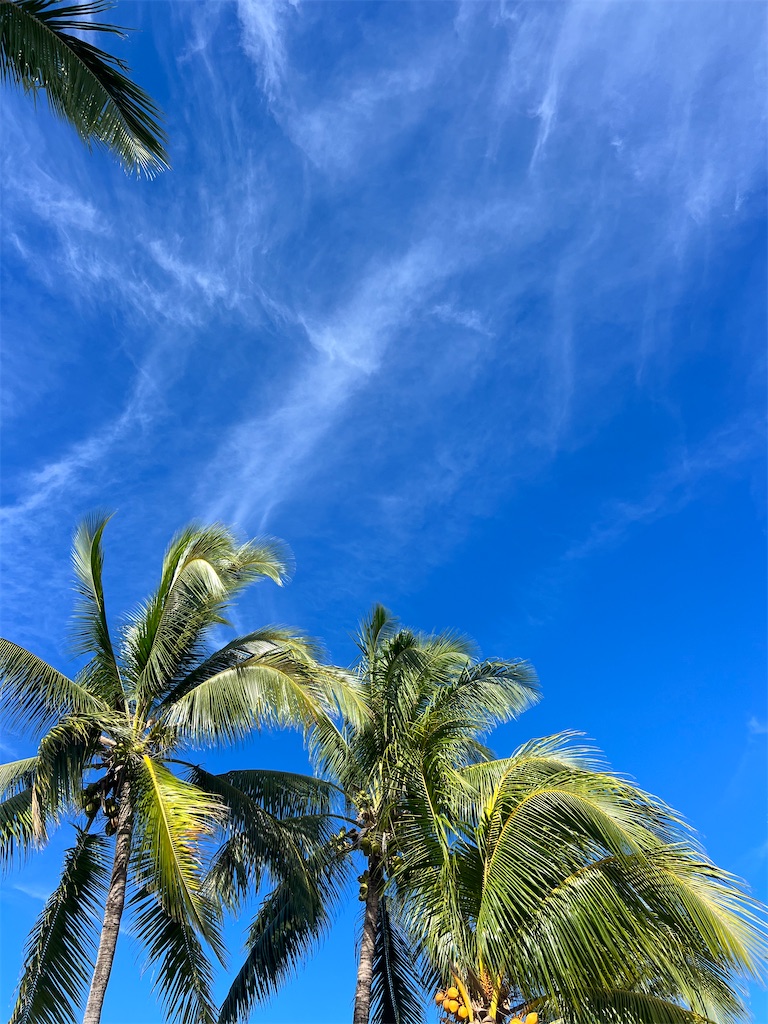 f:id:hrk619:20230721142718j:image