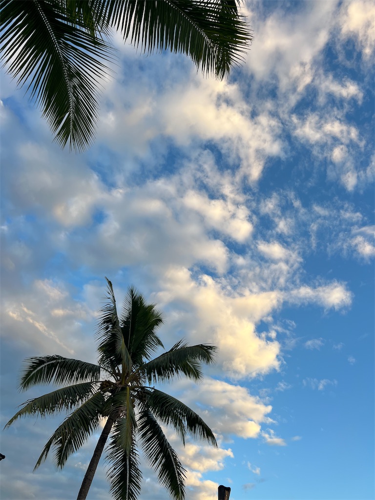 f:id:hrk619:20230721142721j:image
